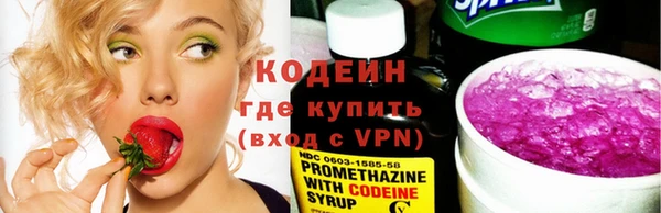 ПСИЛОЦИБИНОВЫЕ ГРИБЫ Арсеньев