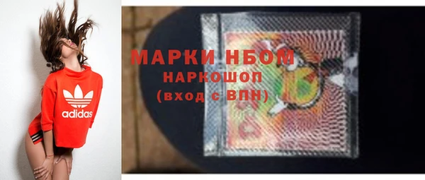 ПСИЛОЦИБИНОВЫЕ ГРИБЫ Арсеньев