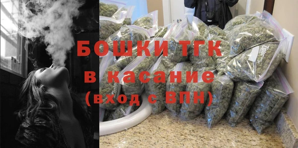 ПСИЛОЦИБИНОВЫЕ ГРИБЫ Арсеньев