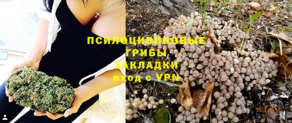 дурь Армянск